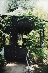 Menton. Jardin Botanique Val Rahmeh. Urlaub in Ligurien im Ferienhaus in Dolceacqua an der italienischen Riviera