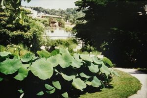 Menton Exotischer Garten Val Rahmeh. Urlaub an der italienischen Riviera in Ligurien im Ferienhaus Casa Rochin bei Dolceacqua