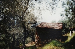 Unser Ferienhaus in Ligurien. Abenteuerbericht.Ein altes Rustico ...