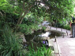 Der japanische Garten. Villa Ephrussi de Rothschild in Saint Jean Cap Ferrat an der Côte d'Azur