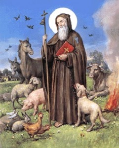 Segnung der Tiere am Festtag des Sant Antonio Abate
