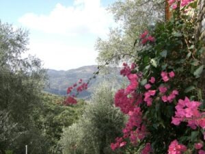 Unser Ferienhaus in Ligurien an der Blumenriviera. Im Urlaub an der italienischen Riviera Aussicht