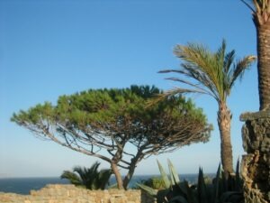 Bordighera. Im Urlaub an der italienischen Riviera im Ferienhaus in Ligurien