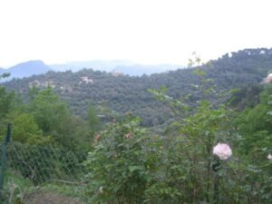 Urlaub an der italienischen Riviera im Ferienhaus Casa Rochin bei Dolceacqua.