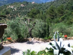 Blick vom Ferienhaus Casa Rochin in Dolceacqua in Ligurien an der italienischen Riviera