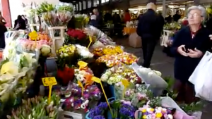 Ventimiglia Blumenstand in der Markthalle