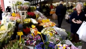 Ventimiglia Blumenstand in der Markthalle.Urlaub an der italienischen Riviera in Ligurien