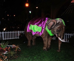 Zirkusszenen aus der Zitronenstadt Menton zwischen Weihnachten und Neujahr