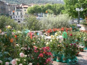 Dolceacqua Blumenmarkt. Im Urlaub an der italienischen Riviera im Ferienhaus in Ligurien