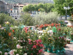 Dolceacqua Blumenmarkt. Im Urlaub an der italienischen Riviera im Ferienhaus in Ligurien