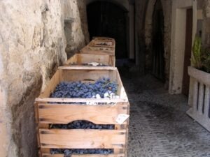 Dolceacqua, an der italienischen Riviera in Ligurien."vendemmia"