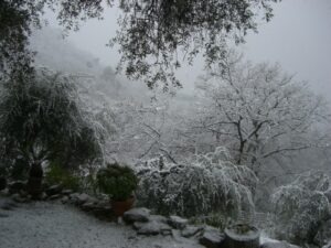 der Schnee kam über Nacht...