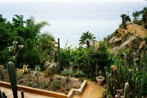 Bordighera. Giardino Esotico Pallanca. Unser Ferienhaus in Ligurien an der italienischen Riviera