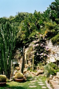 Bordighera- Exotischer Garten Pallanca. Im Urlaub an der italienischen Riviera. Unser Ferienhaus in Ligurien