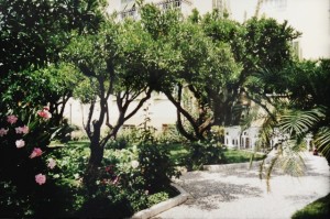 Bordighera. Im Garten von Hotel Villa Elisa. Urlaub an der italienischen Riviera in Ligurien