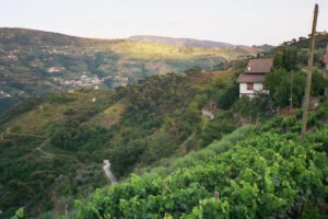 Hinterland der italienischen Riviera in Ligurien