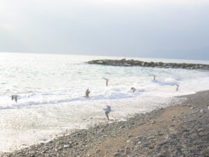 Bordighera. Urlaub an der italienischen Riviera in Ligurien