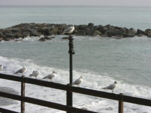 Bordighera. Urlaub an der italienischen Riviera in Ligurien