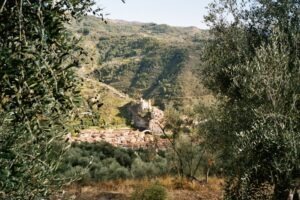 ...oder bei Dolceacqua in Ligurien.