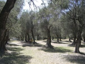 Menton. Le Parc du Pian. Urlaub an der italienischen Riviera in Ligurien