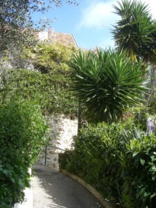 Roquebrune. Gärten. Urlaub an der italienischen Riviera in Ligurien