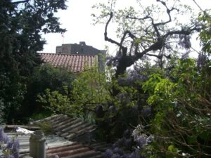 Roquebrune. Ein verwilderter Garten. Urlaub an der italienischen Riviera in Ligurien.