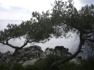 Spazierweg Le Corbusier. Roquebrune Cap Martin bei Menton