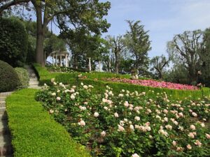 Saint Jean Cap Ferrat. Der Rosengarten Villa Ephrussi de Rothschild