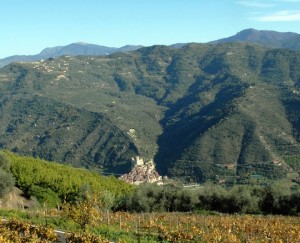 Panoramablick auf Dolceacqua vom Weingut Terre Bianche