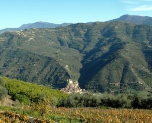 Panoramablick auf Dolceacqua vom Weingut Terre Bianche