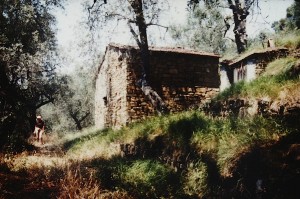 ein kleines Rustico. Unser Haus in Ligurien. Abenteuerbericht mit Folgen..