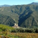 Wein und wandern. Herbst in Ligurien an der italienischen Riviera