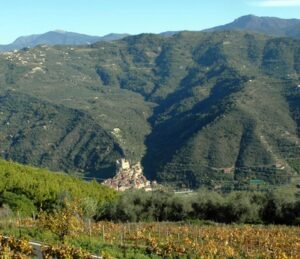 Wein und wandern. Herbst in Ligurien an der italienischen Riviera