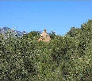 San Gregorio. Unser Ferienhaus in Ligurien. Abenteuerbericht mit Folgen