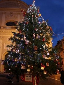 Imperia-Porto Maurizio bereitet sich auf Weihnachten vor
