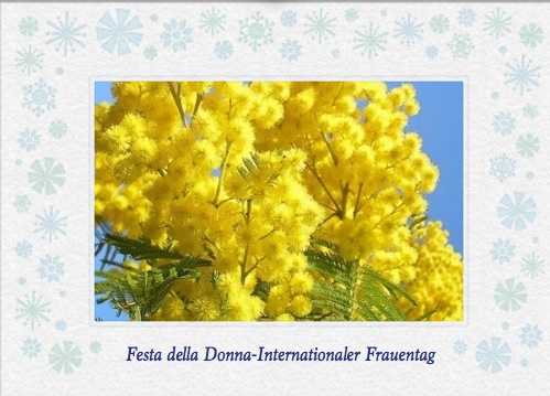 Mimosen zum Festa della Donna an der ligurischen Küste