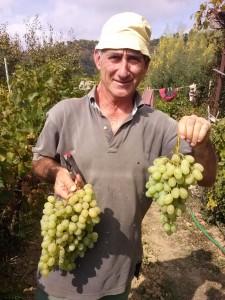 bei San Gregorio oberhalb Dolceacqua