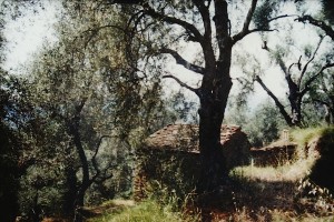 die Umgebung vom Casa Rochin war noch ziemlich wild