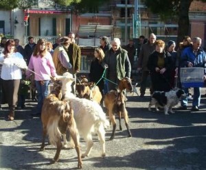 Segnung der Tiere. Zum Fest des Heiligen Antonius