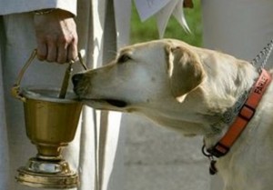 Tiersegnung am Festtag des Heiligen Antonius