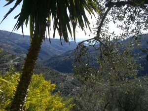 Blick zum Meer vom Ferienhaus in Perinaldo