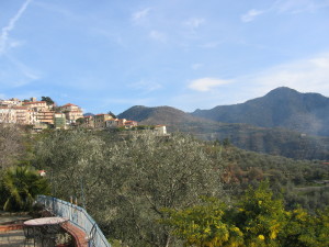 die schoene Aussicht vom Ferienhaus