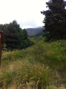 inmitten des Naturparks ligurische Alpem