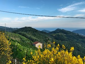 Blick von ganz oben