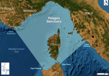 Pelagos Sanctuary